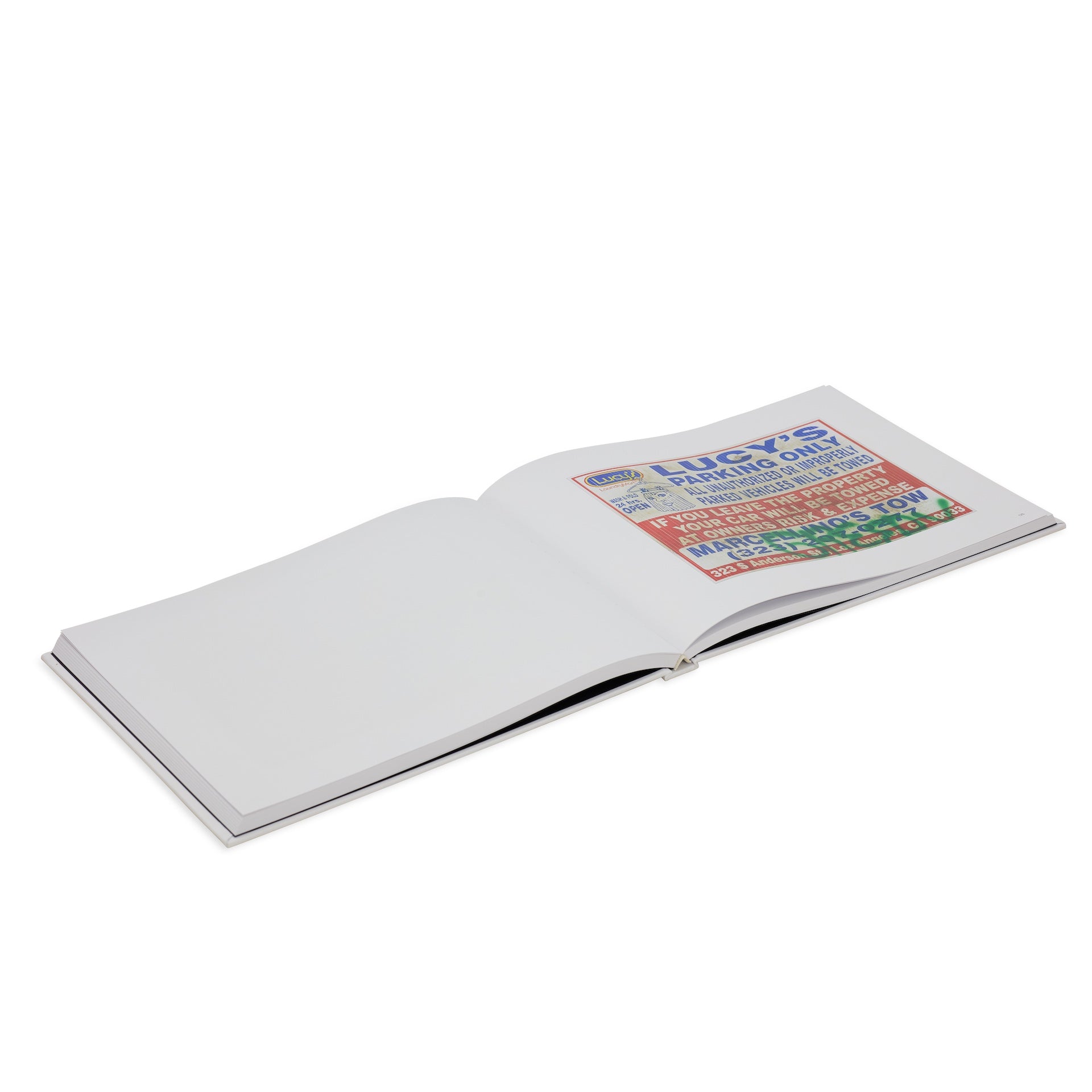 Mario Ayala: 100 Tows